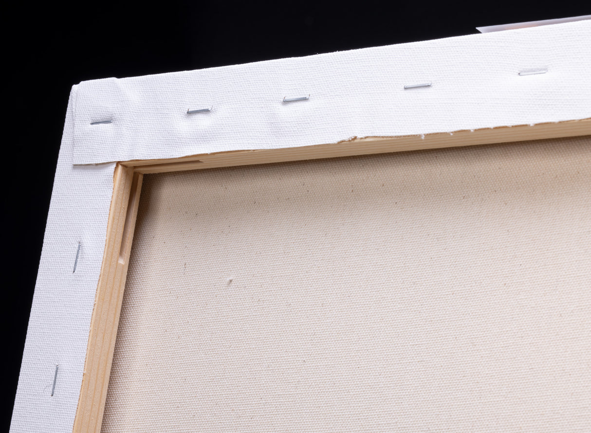 Panart Premium Stretched Cotton Canvas – 21x29.7cm (A4), 350gsm, 38x25mm Frame