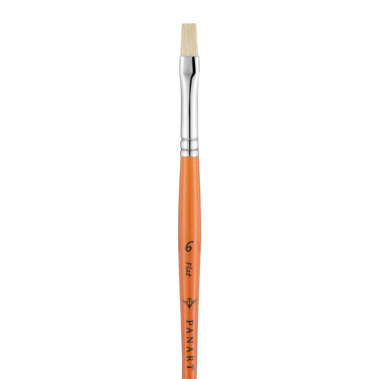 Panart Campus Bristle Flat Short Handle Brushes - 5522