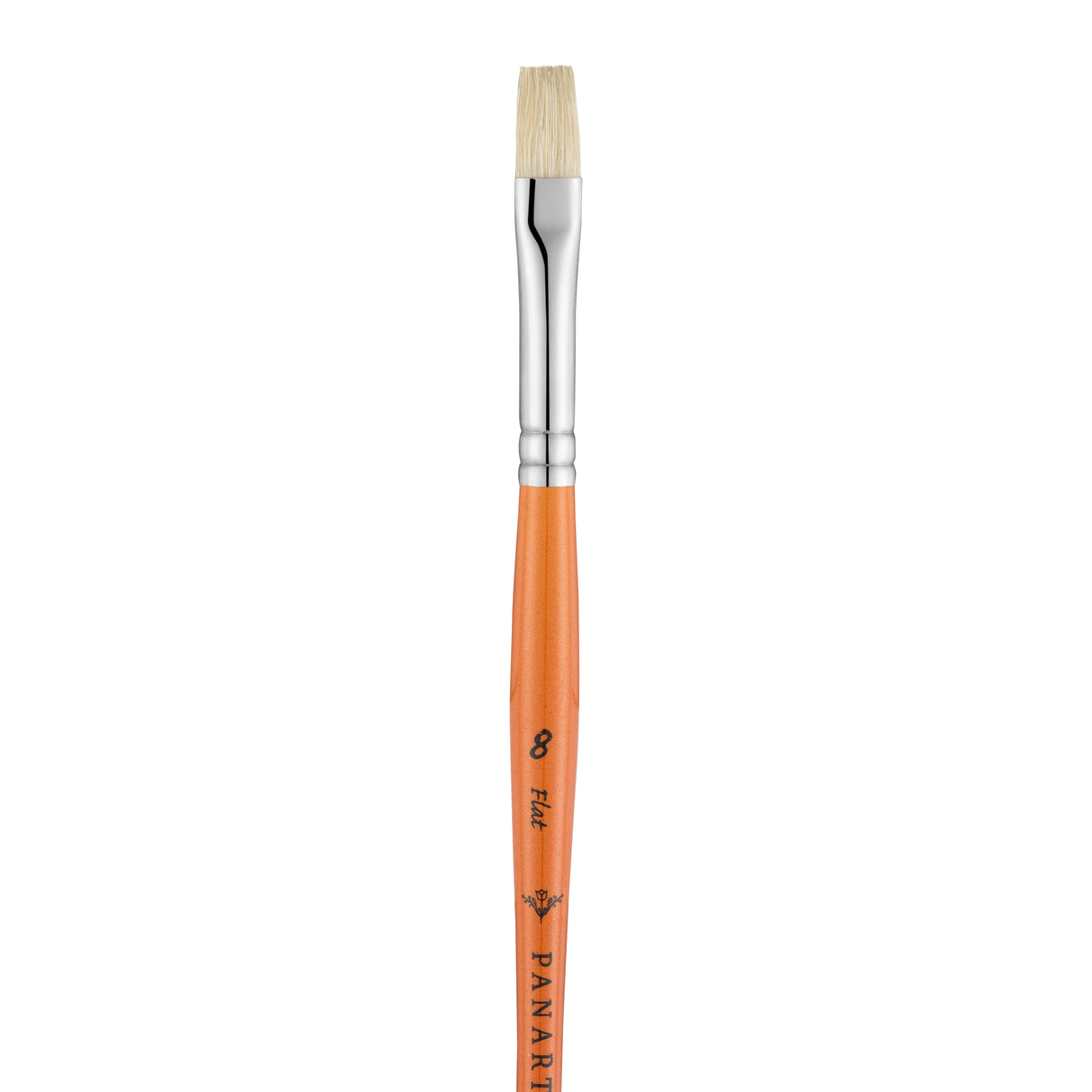Panart Campus Bristle Flat Short Handle Brushes - 5522