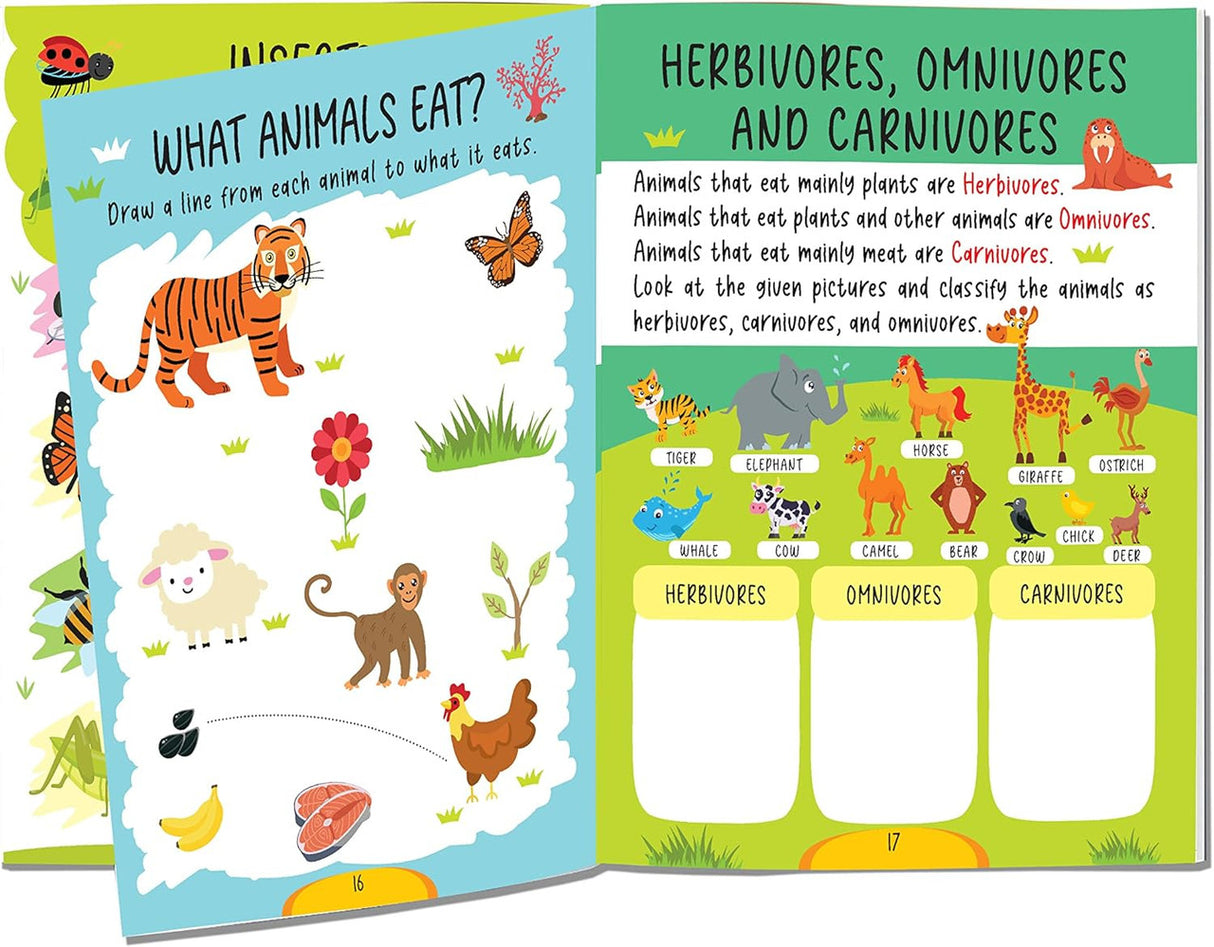DREAMLAND - Science Activity Book Age 5+