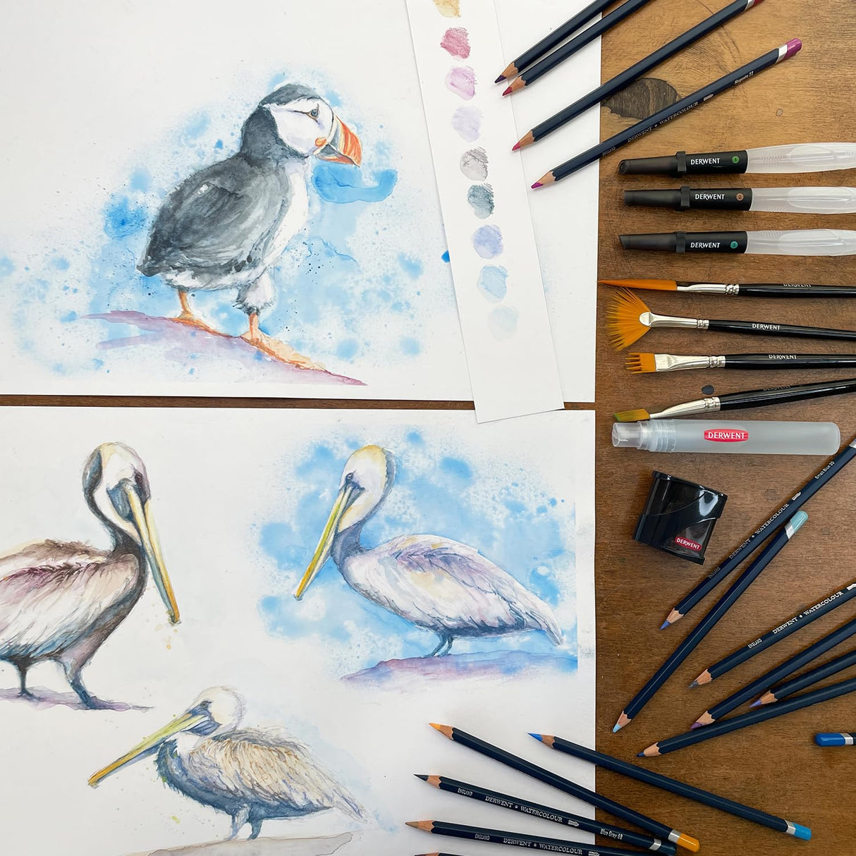 Derwent Watercolour Pencils – Premium Water-Soluble Colour Pencils for Artists