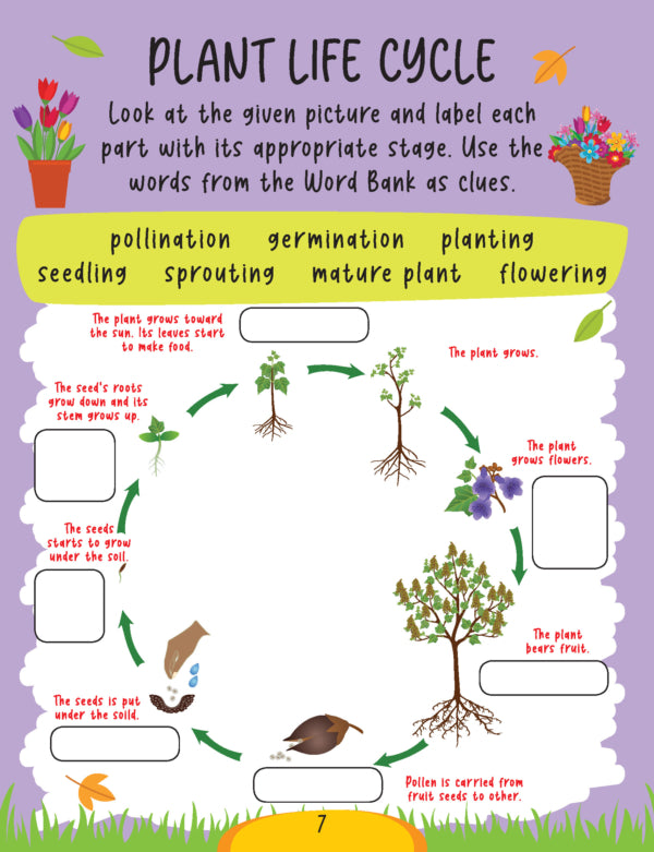 DREAMLAND - Science Activity Book Age 6+