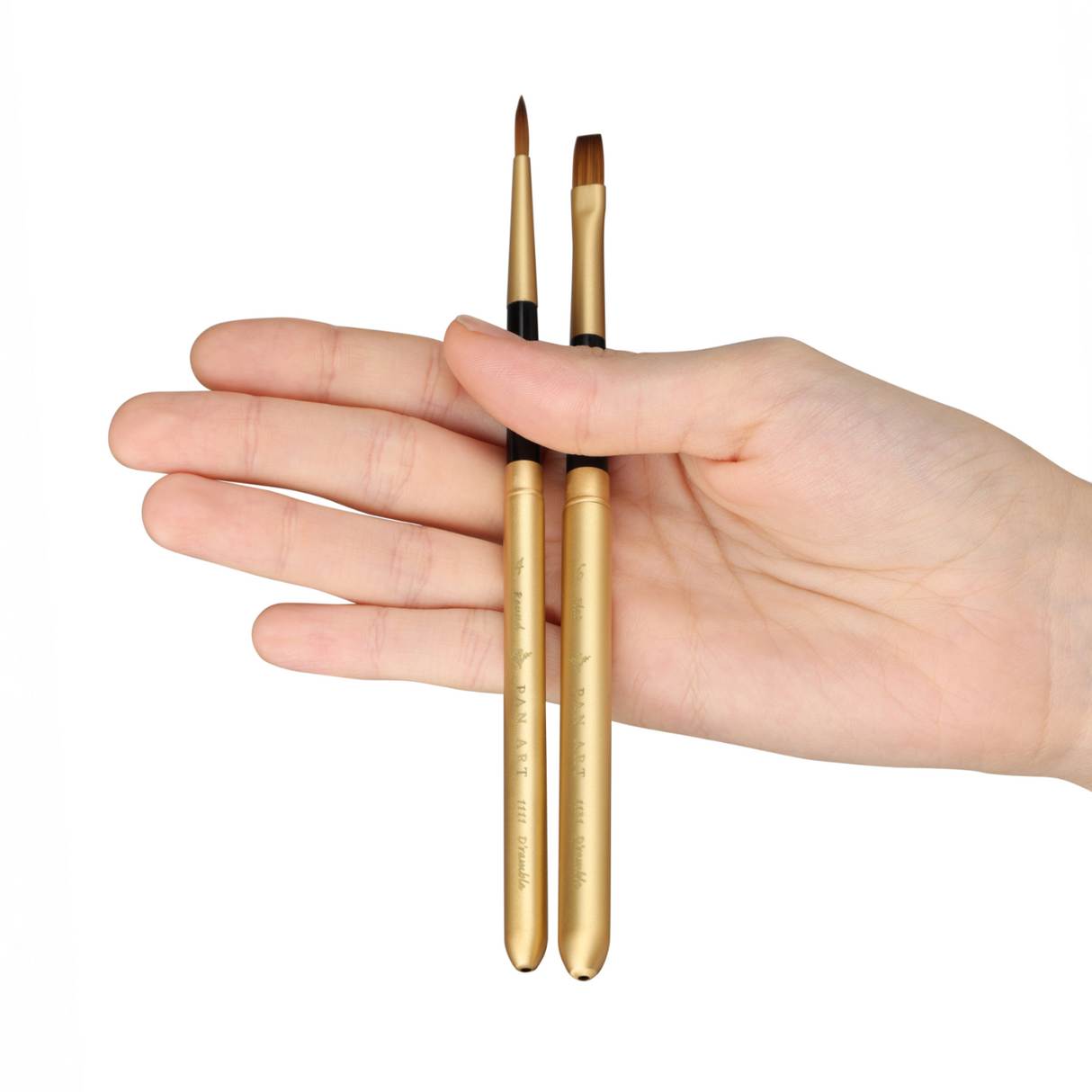 Panart D'Ramble Reversible Brush Set - 2 Pcs, DR-01 (R-4 F-6)