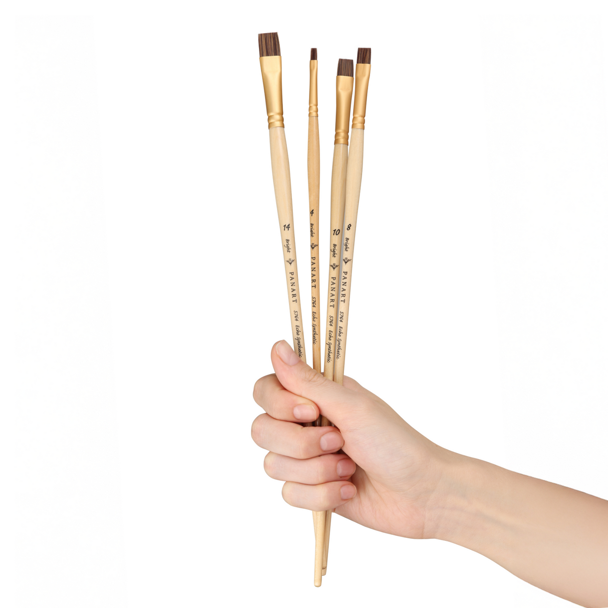 Panart Echo Synthetic Long Handle Brush Set - 4 Pcs, ES-02 (BR-4,8,10,14)