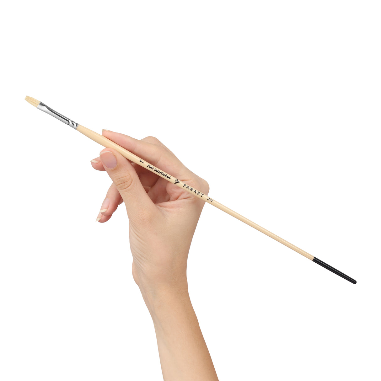 Panart White Bristle Long Handle Flat Brushes - 211