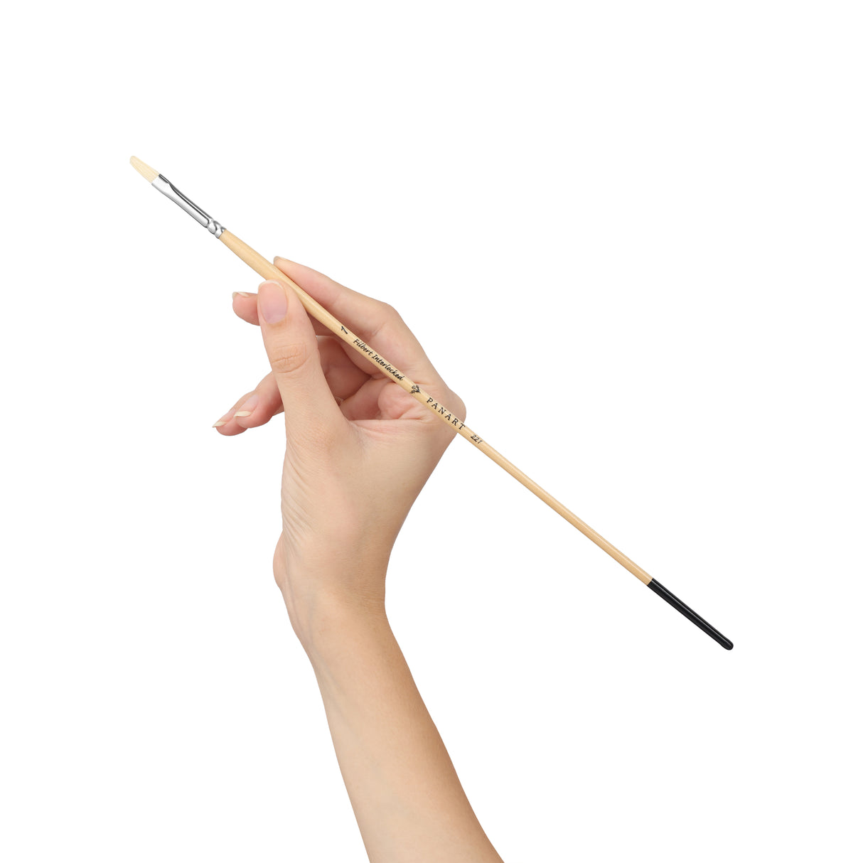 Panart White Bristle Long Handle Filbert Brushes - 221