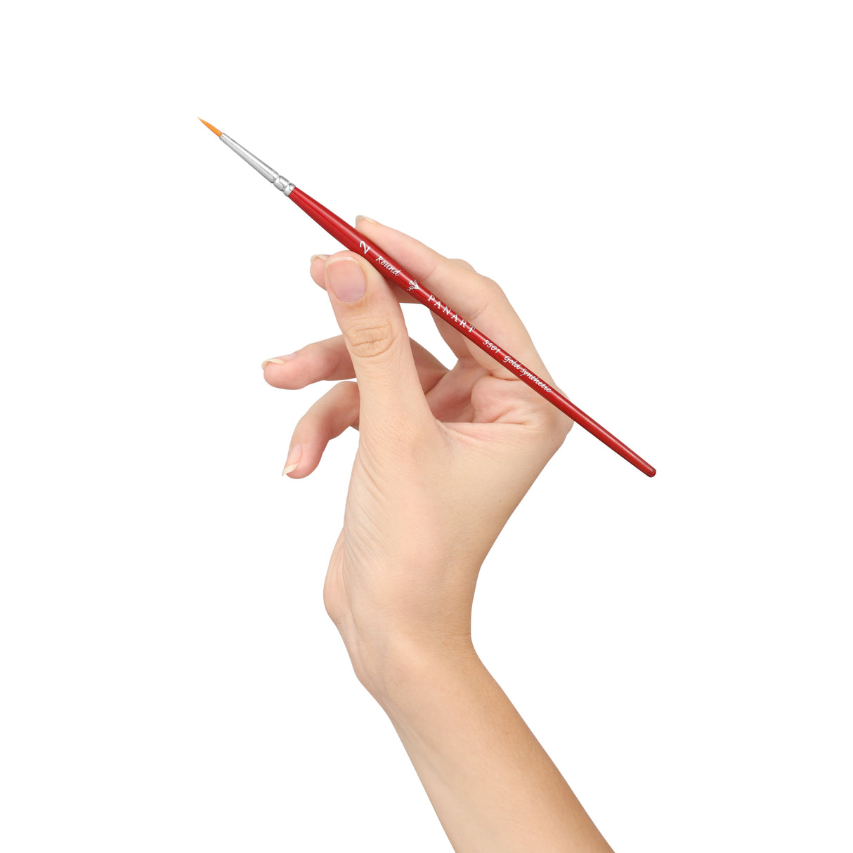 Panart Campus Synthetic Short Handle Round Brushes - 5501