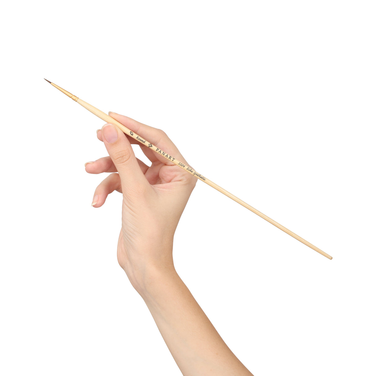 Panart Echo Synthetic Round Long Handle Brush Pack of 5 Pcs (5504-0)