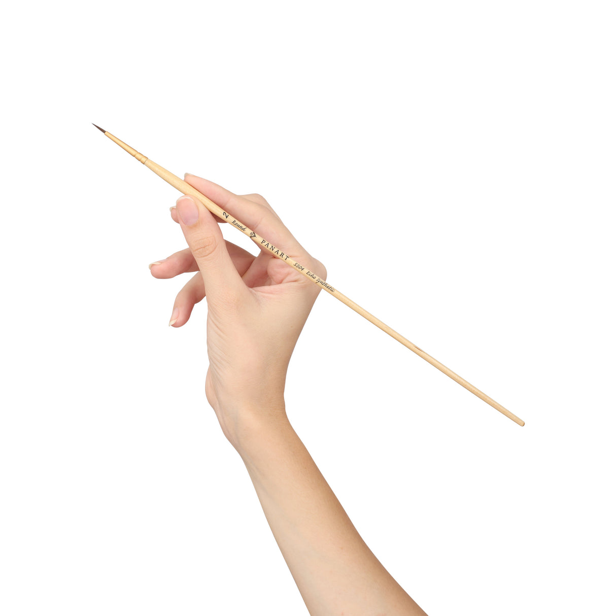 Panart Echo Synthetic Round Long Handle Brush Pack of 5 pcs (5504-2)