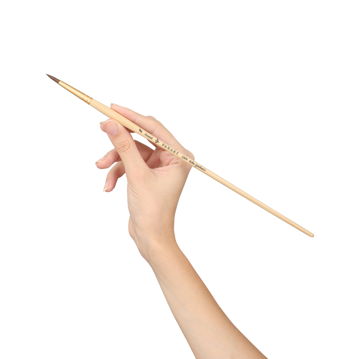 Panart Echo Synthetic Round Long Handle Brush Pack of 5 pcs (5504-8)