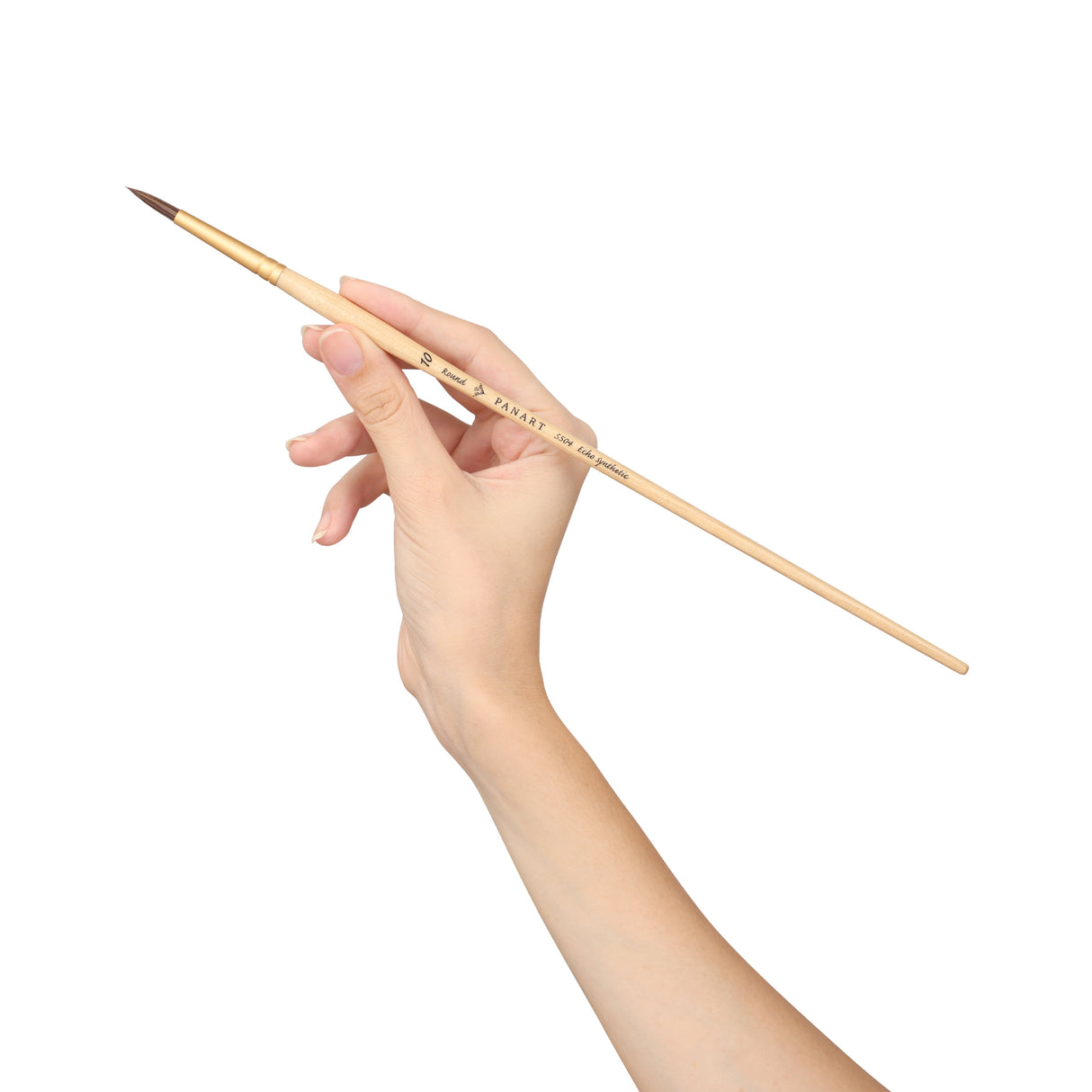 Panart Echo Synthetic Round Long Handle Brush Pack of 5 pcs (5504-10)