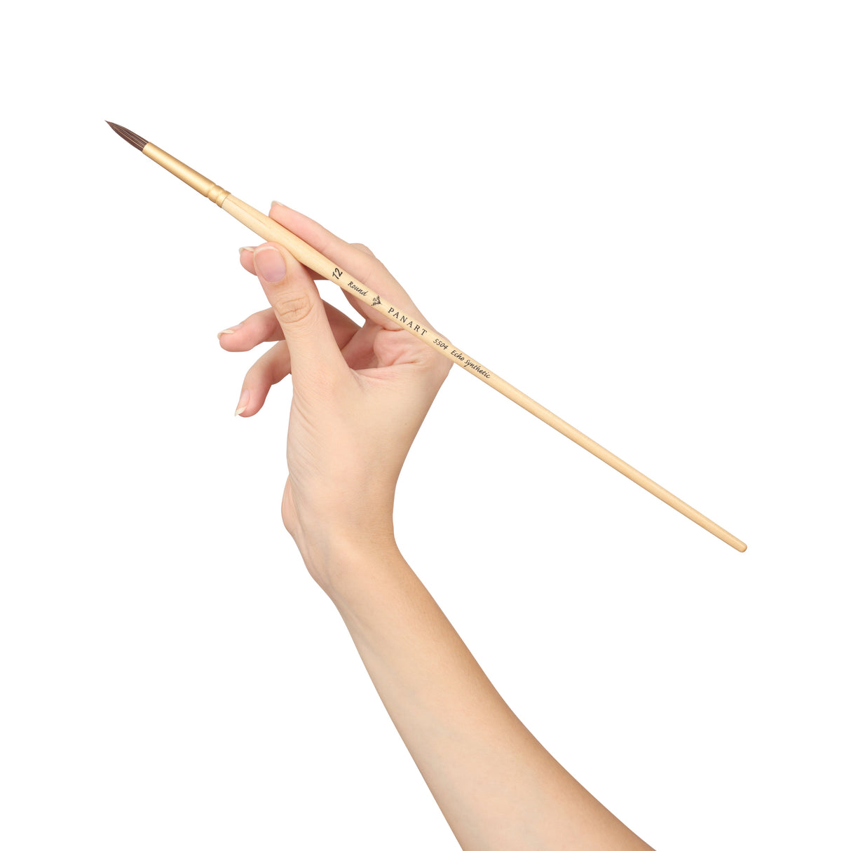 Panart Echo Synthetic Round Long Handle Brush Pack of 5 pcs (5504-12)