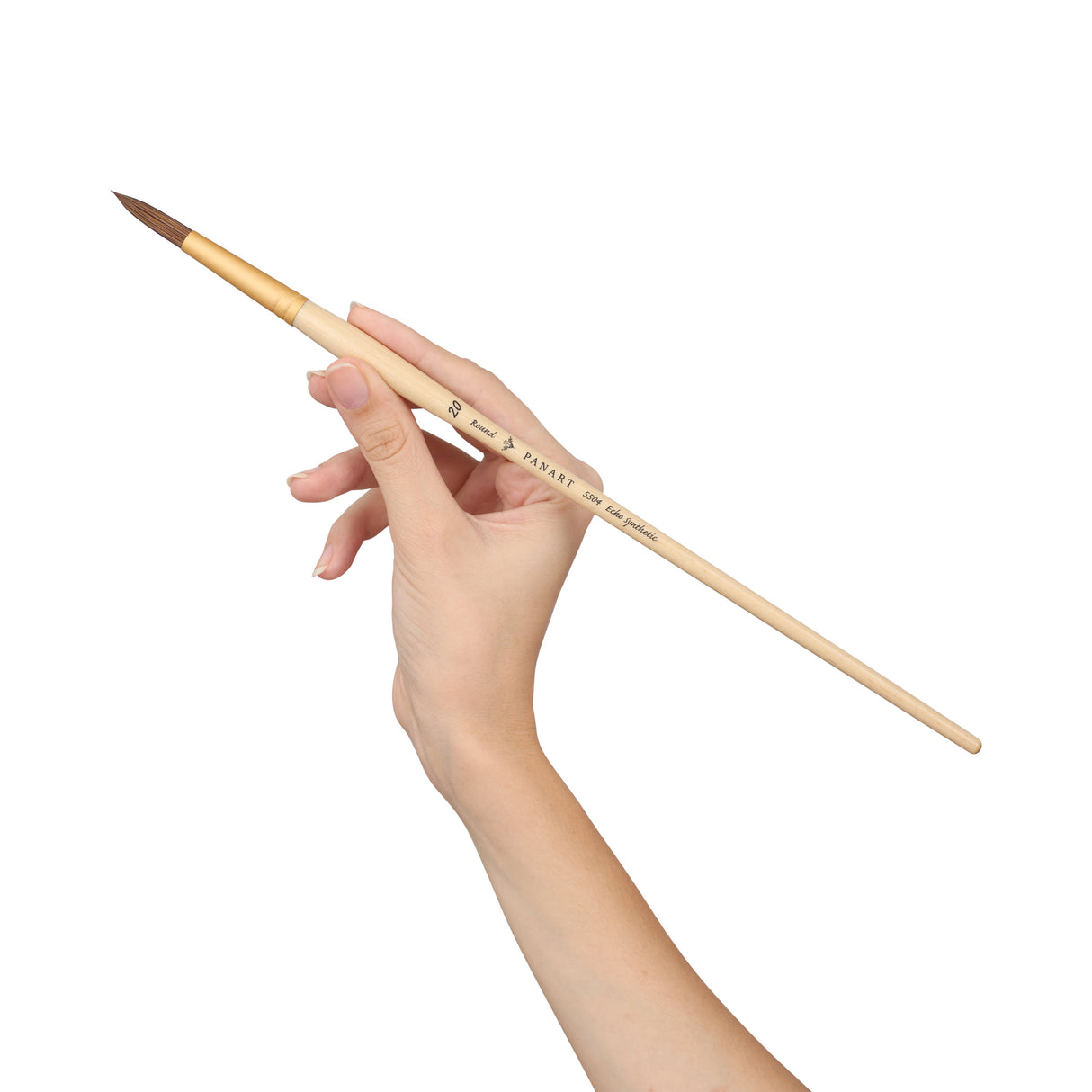 Panart Echo Synthetic Round Long Handle Brush Pack of 3 pcs (5504-20)