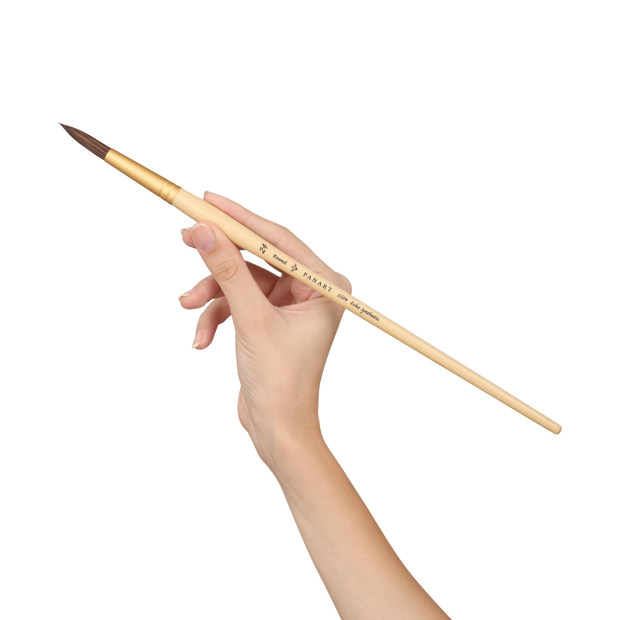 Panart Echo Synthetic Round Long Handle Brushes - 5504