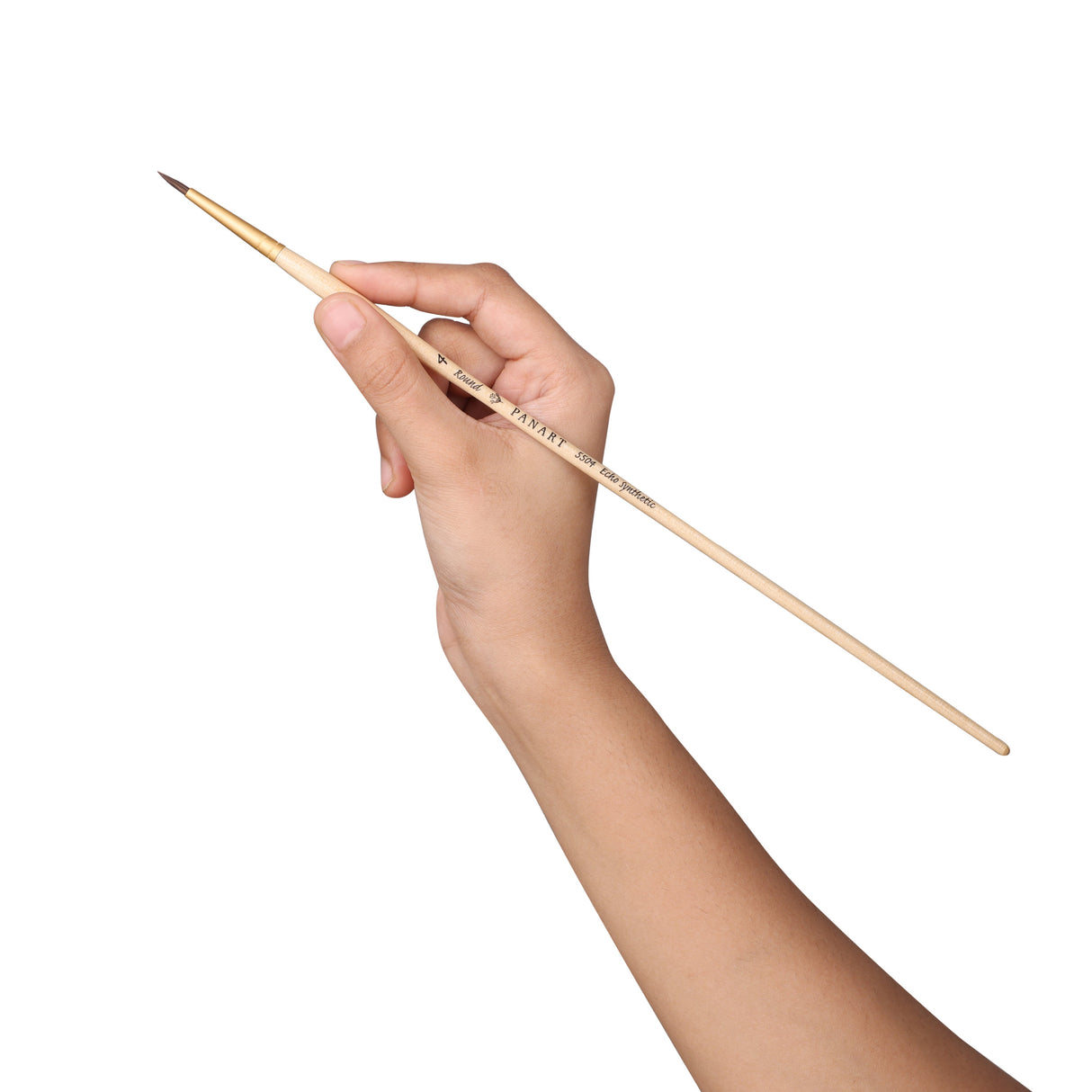 Panart Echo Synthetic Round Long Handle Brushes - 5504