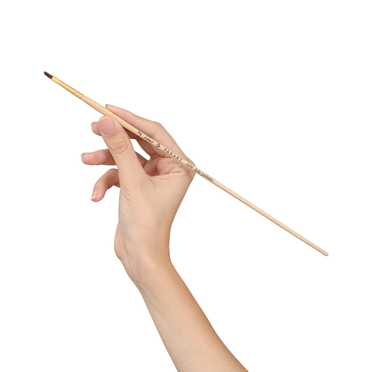 Panart Echo Synthetic Filbert Long Handle Brush Pack of 5 pcs (5544-2)