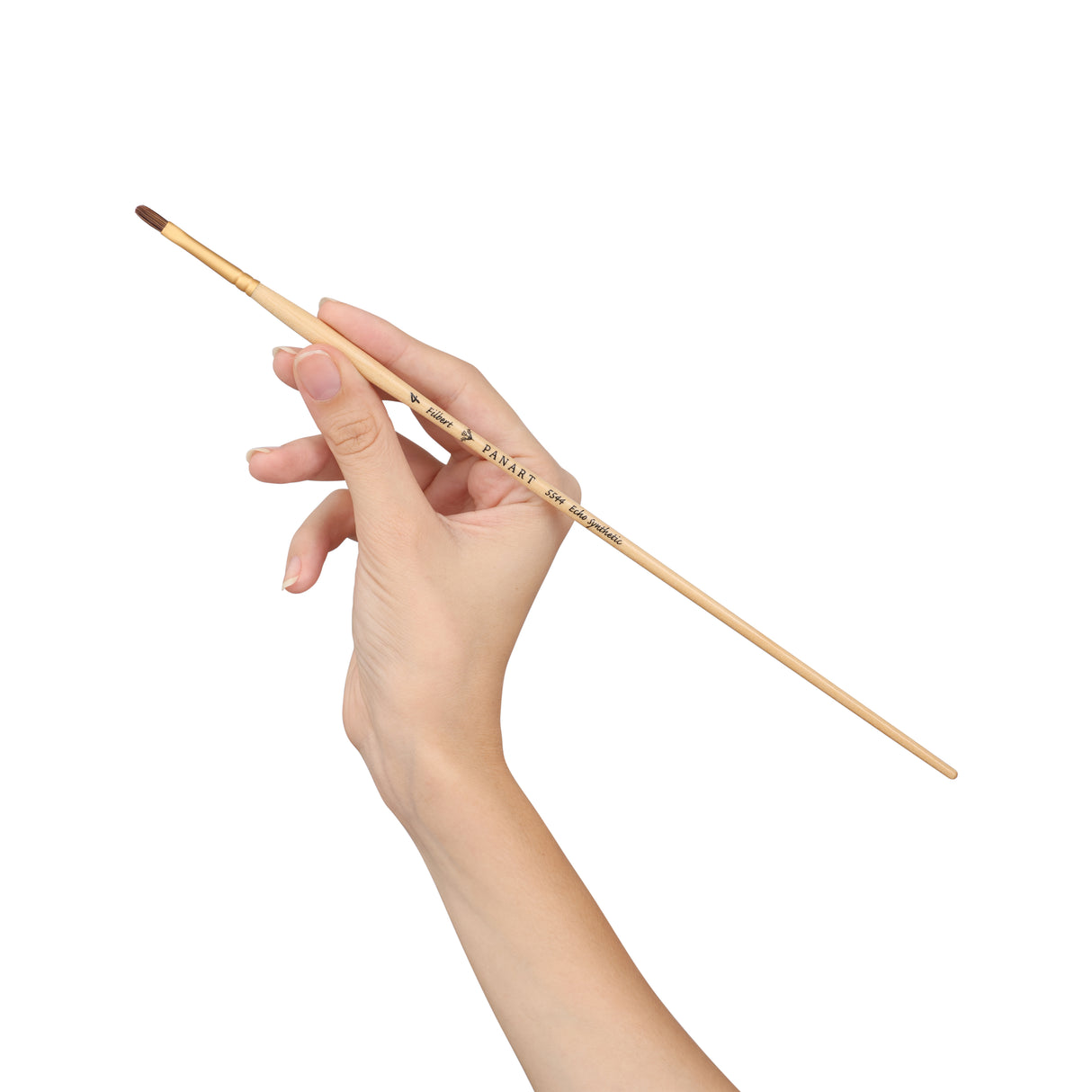 Panart Echo Synthetic Filbert Long Handle Brush Pack of 5 pcs (5544-4)