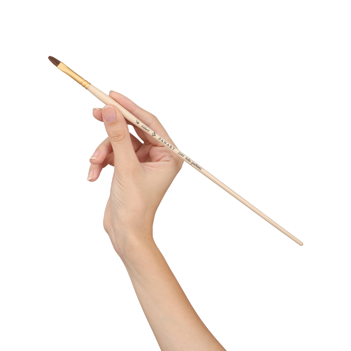 Panart Echo Synthetic Filbert Long Handle Brush Pack of 5 pcs (5544-6)
