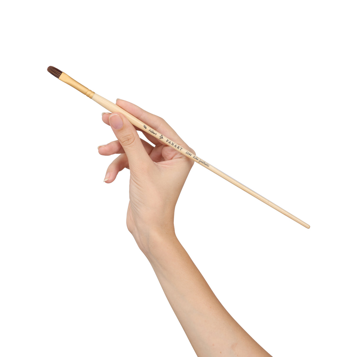 Panart Echo Synthetic Filbert Long Handle Brush Pack of 5 pcs (5544-8)