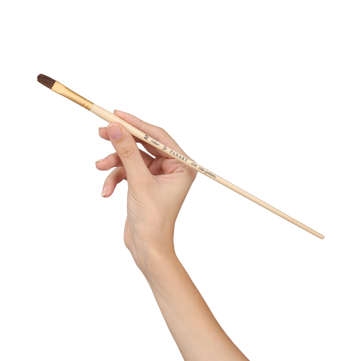 Panart Echo Synthetic Filbert Long Handle Brush Pack of 5 pcs (5544-10)