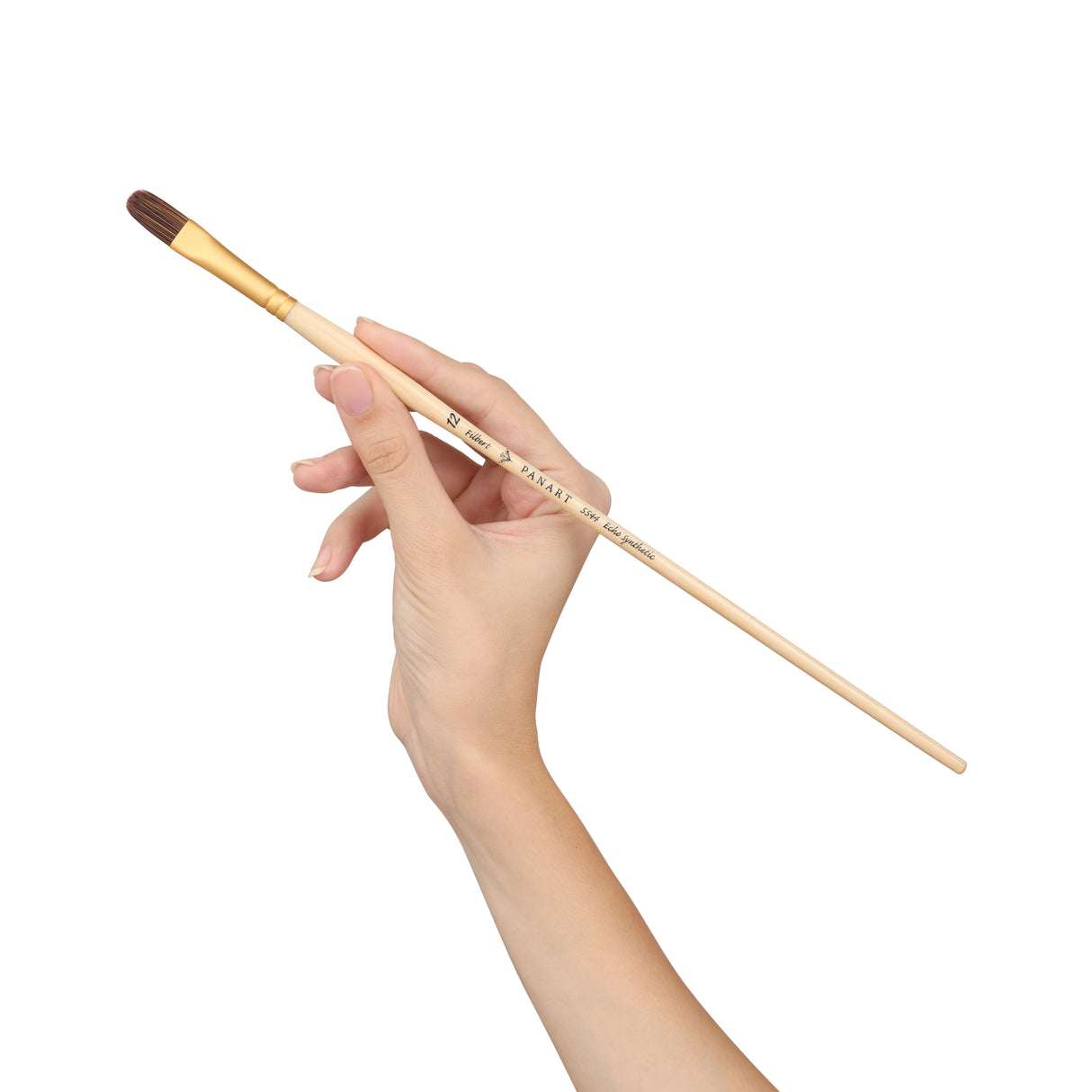 Panart Echo Synthetic Filbert Long Handle Brush Pack of 5 pcs (5544-12)