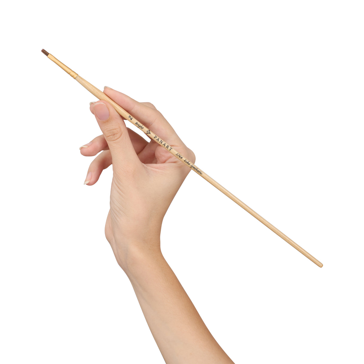 Panart Echo Synthetic Bright Long Handle Brush Pack of 5 Pcs (5764-2)