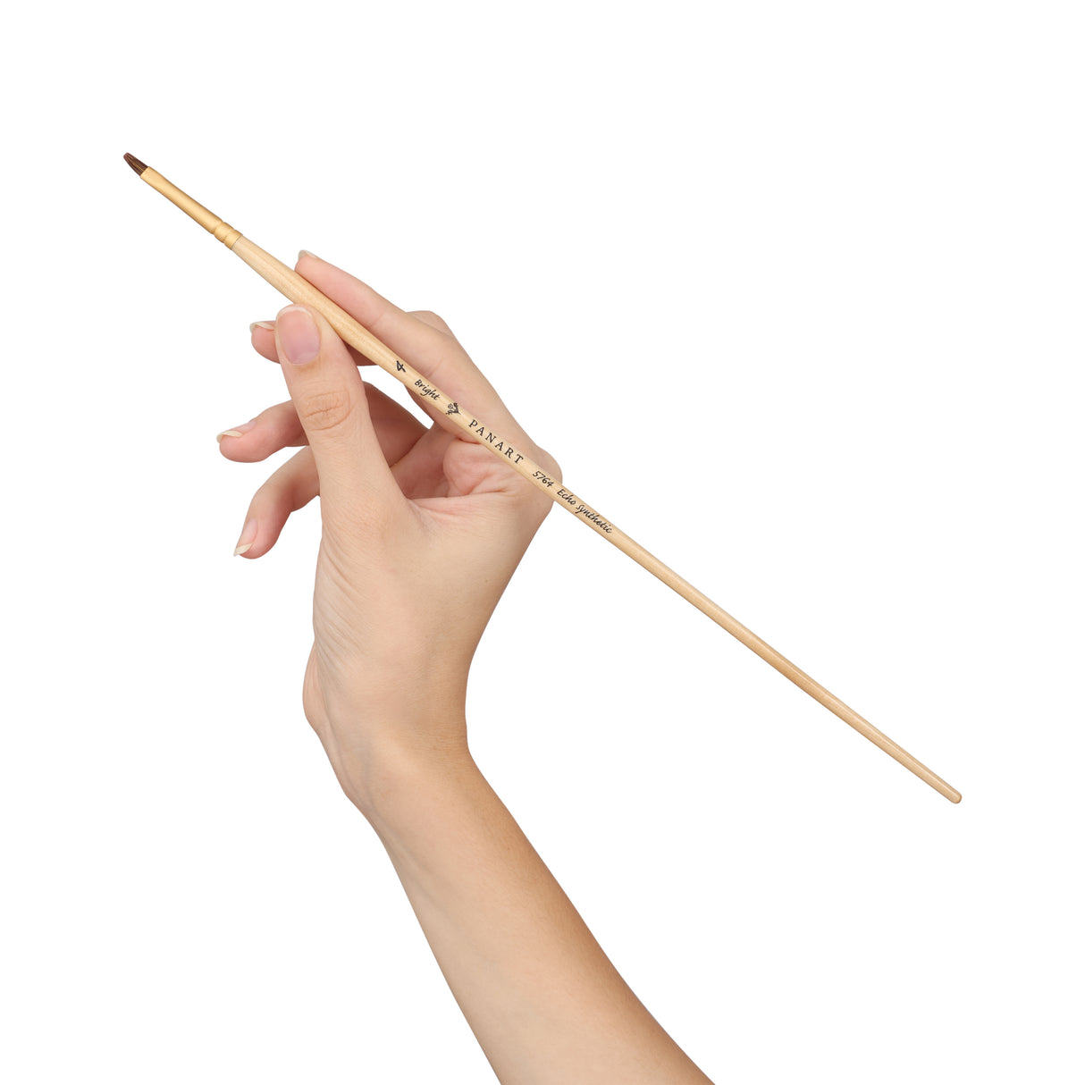 Panart Echo Synthetic Bright Long Handle Brush Pack of 5 Pcs (5764-4)