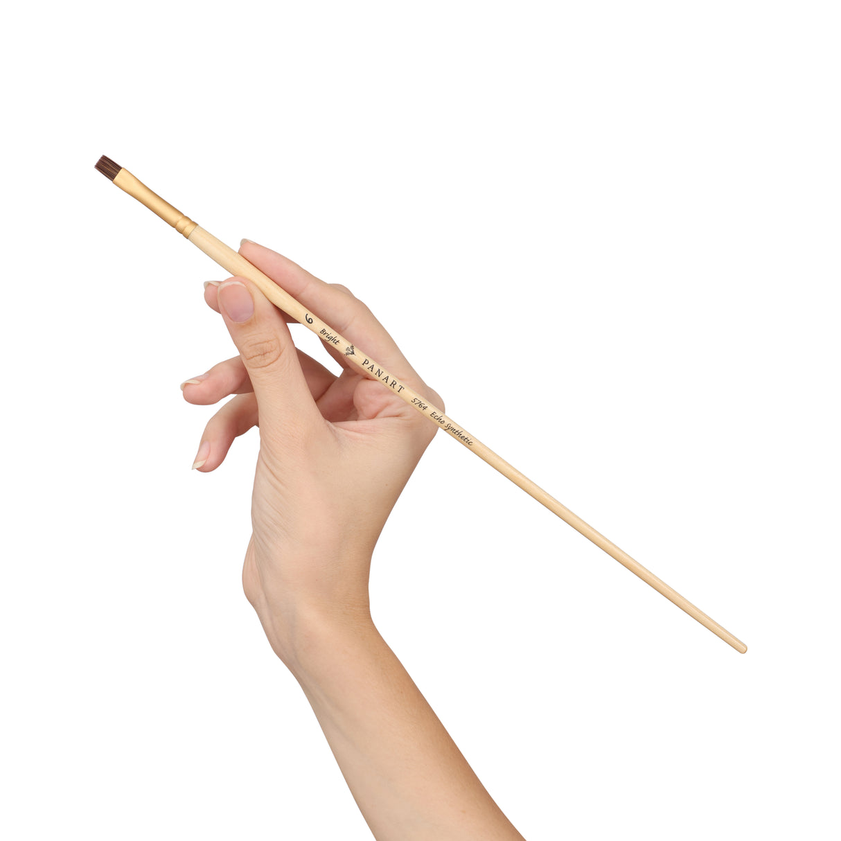 Panart Echo Synthetic Bright Long Handle Brush Pack of 5 Pcs (5764-6)