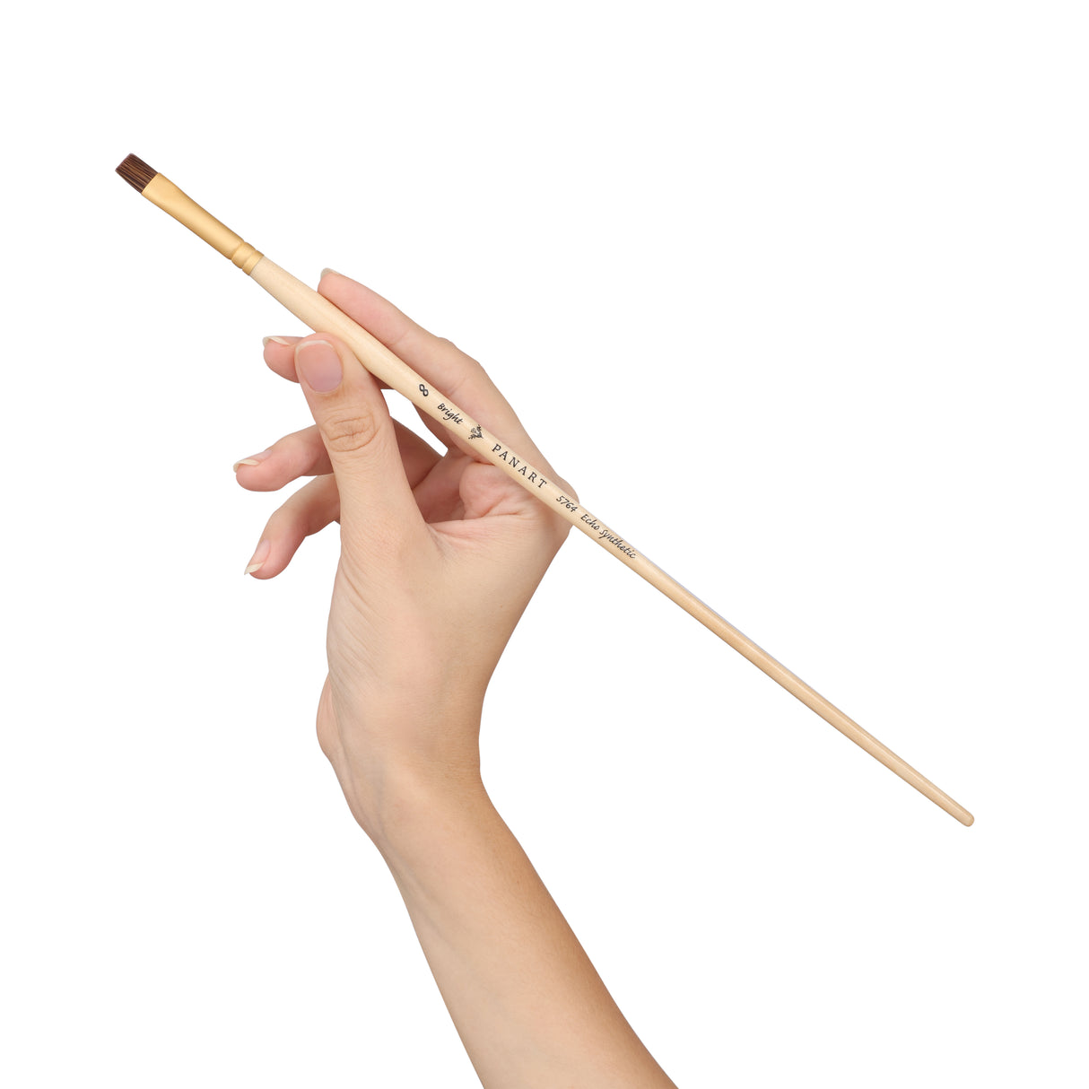 Panart Echo Synthetic Bright Long Handle Brush Pack of 5 Pcs (5764-8)