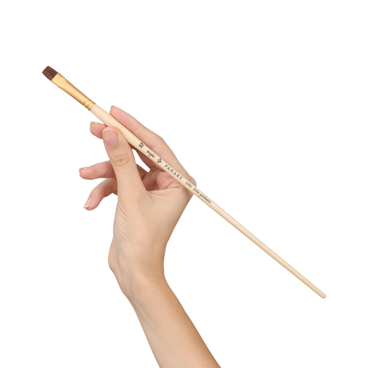 Panart Echo Synthetic Bright Long Handle Brush Pack of 5 pcs (5764-10)