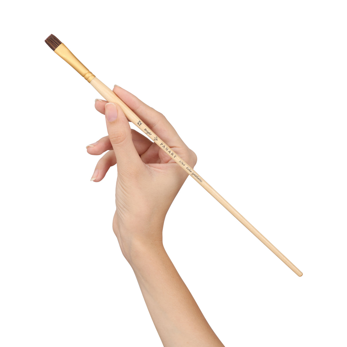 Panart Echo Synthetic Bright Long Handle Brush Pack of 5 Pcs (5764-12)