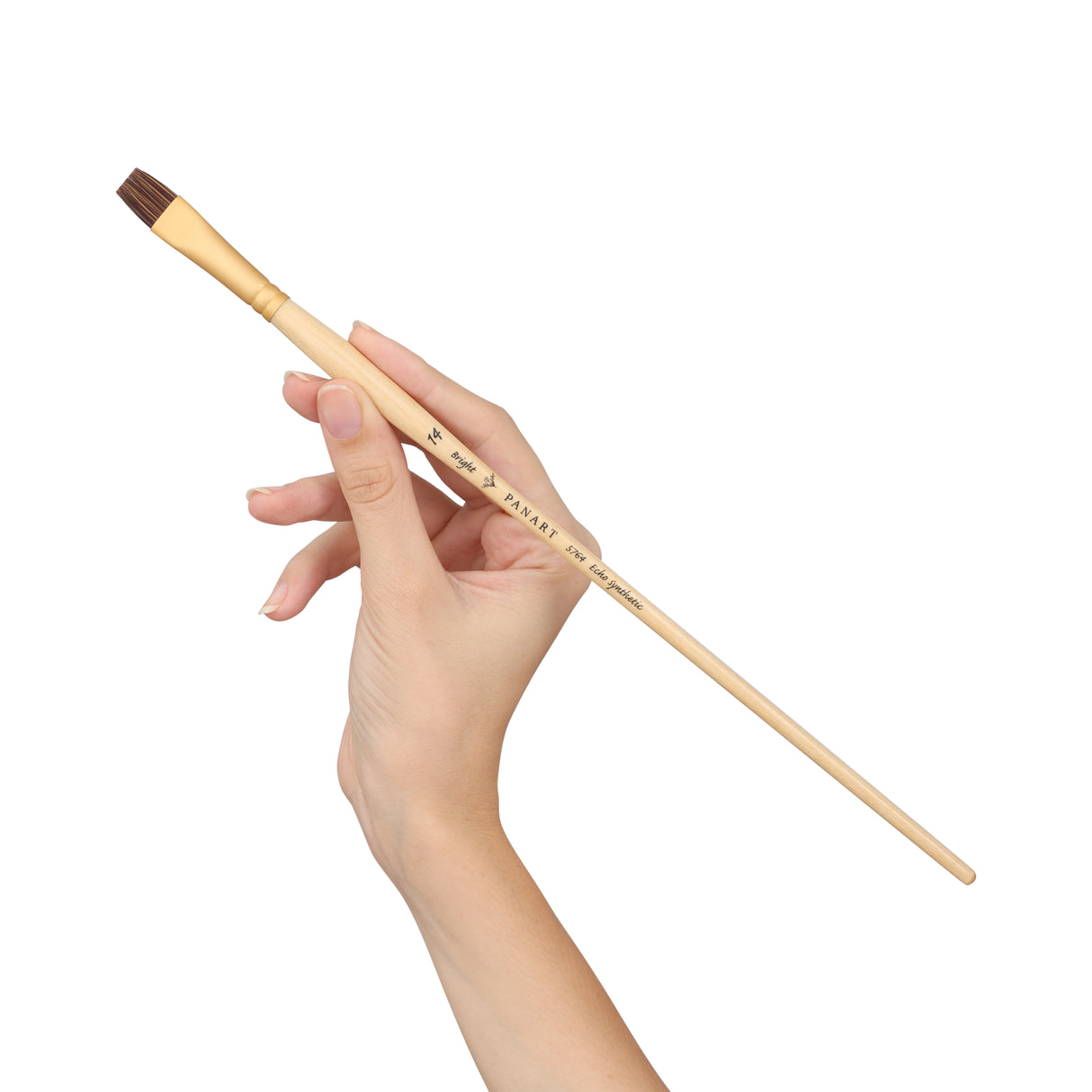 Panart Echo Synthetic Bright Long Handle Brush Pack of 5 pcs (5764-14)