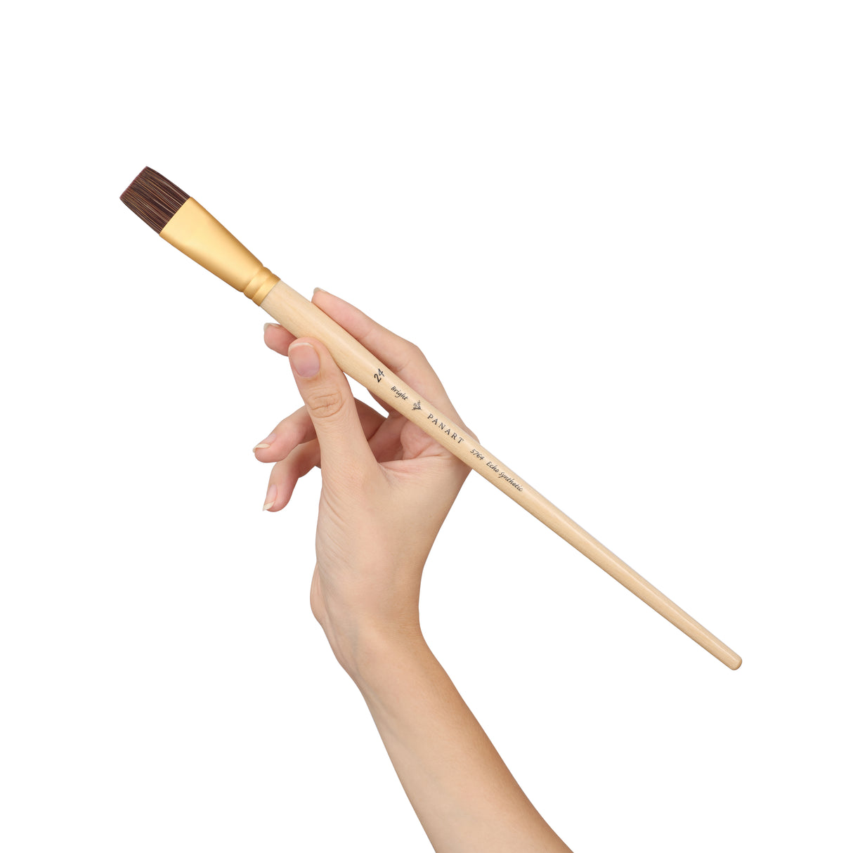 Panart Echo Synthetic Bright Long Handle Brush Pack of 3Pcs (5764-24)