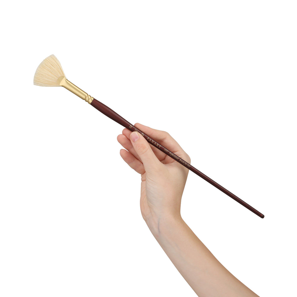 Panart Professional Bristle Fan Long Handle Brushes - 2301