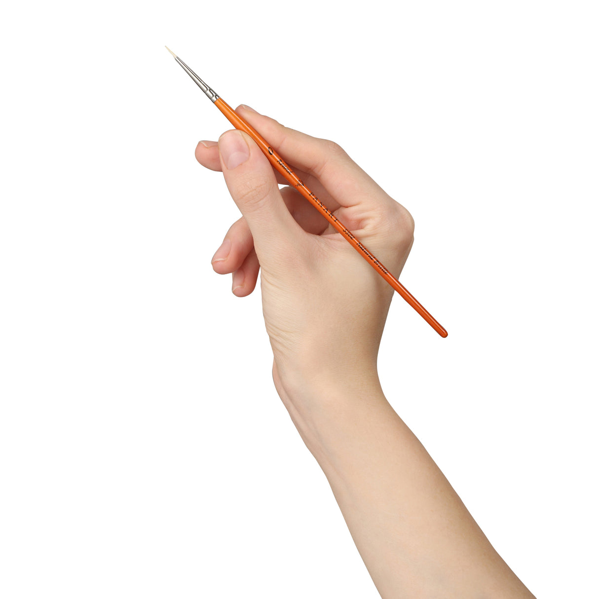 Panart Campus Bristle Round Short Handle Brushes - 5502