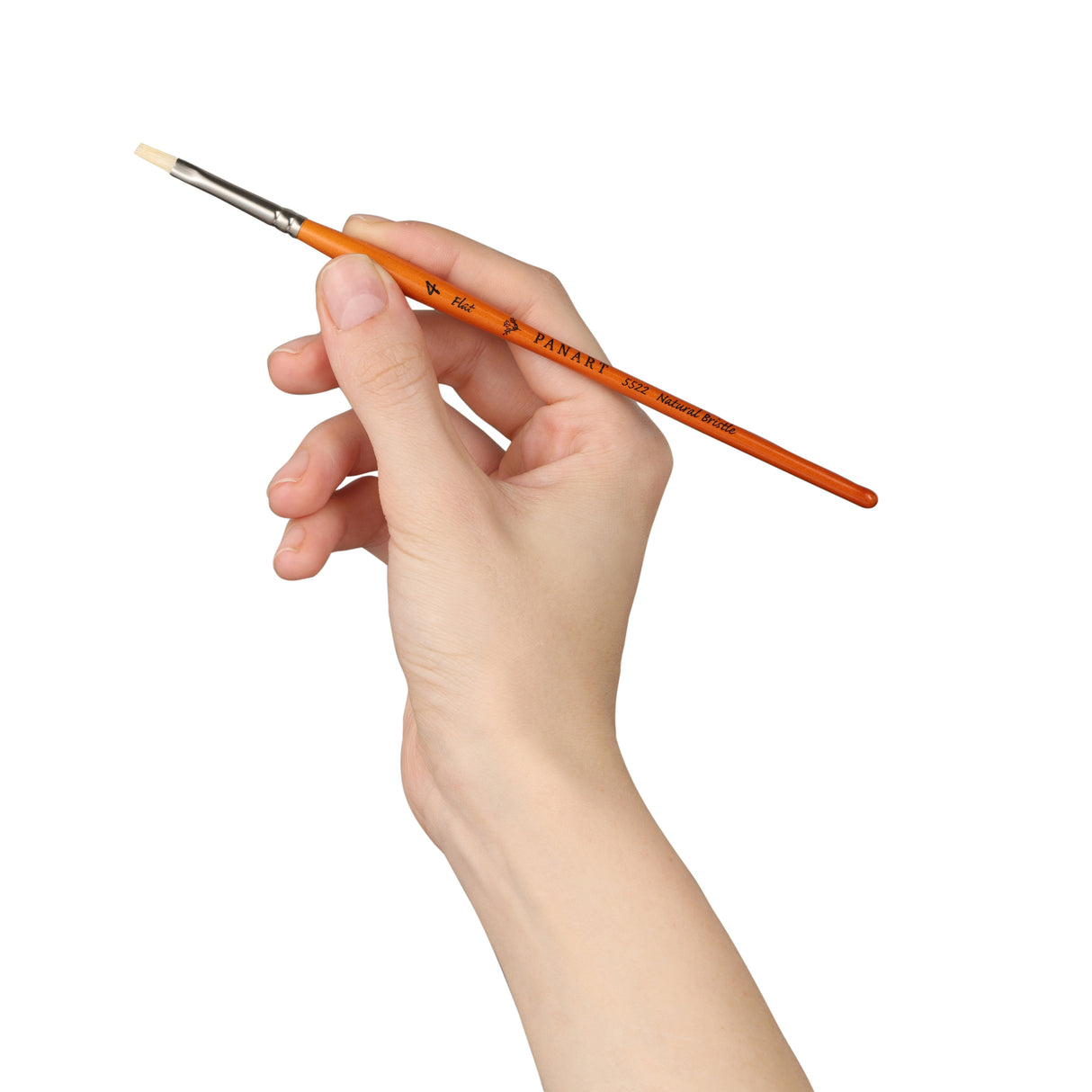 Panart Campus Bristle Short Handle Flat Brushes - 5522