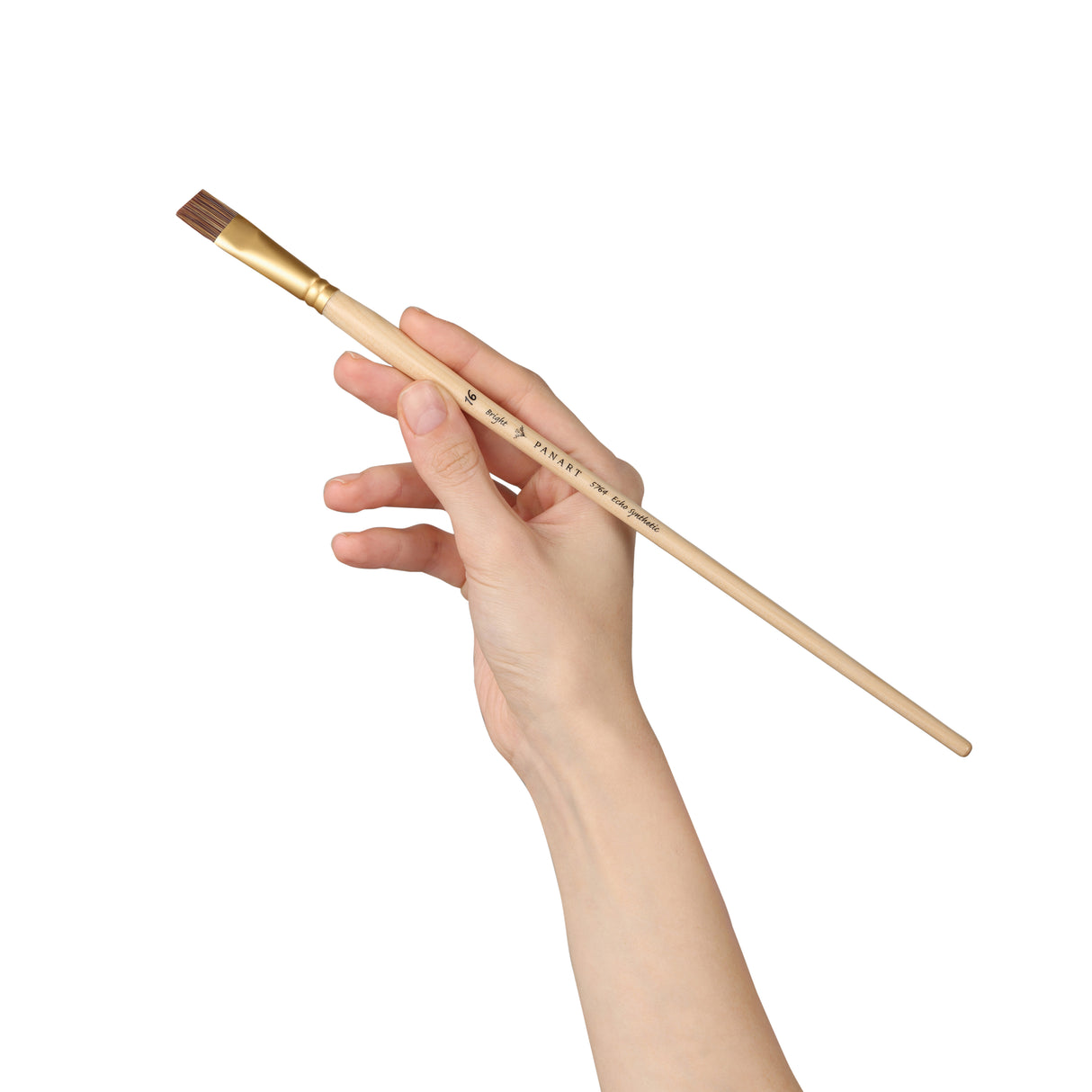 Panart Echo Synthetic Bright Long Handle Brush Pack of 3Pcs (5764-16)