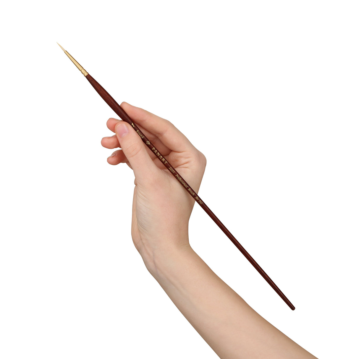 Panart Professional Bristle Round Long Handle Brushes - 2201