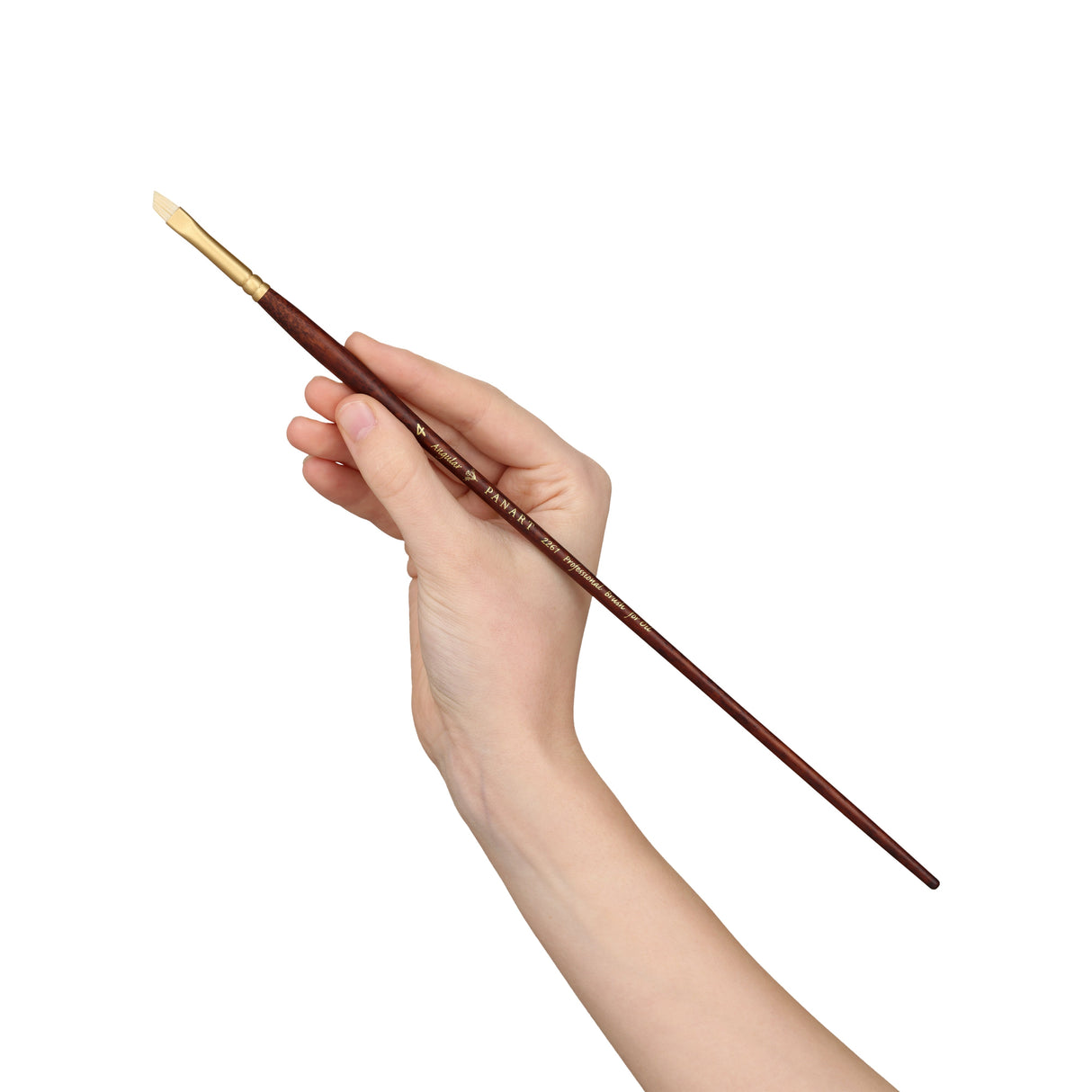 Panart Professional Bristle Angular Long Handle Brushes - 2261