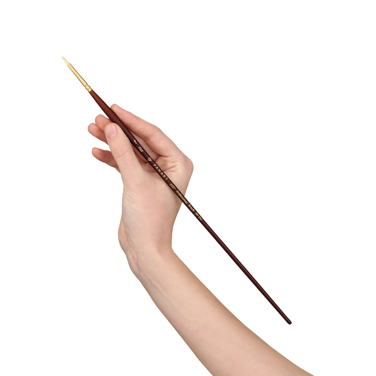 Panart Professional Bristle Flat Long Handle Brushes - 2221