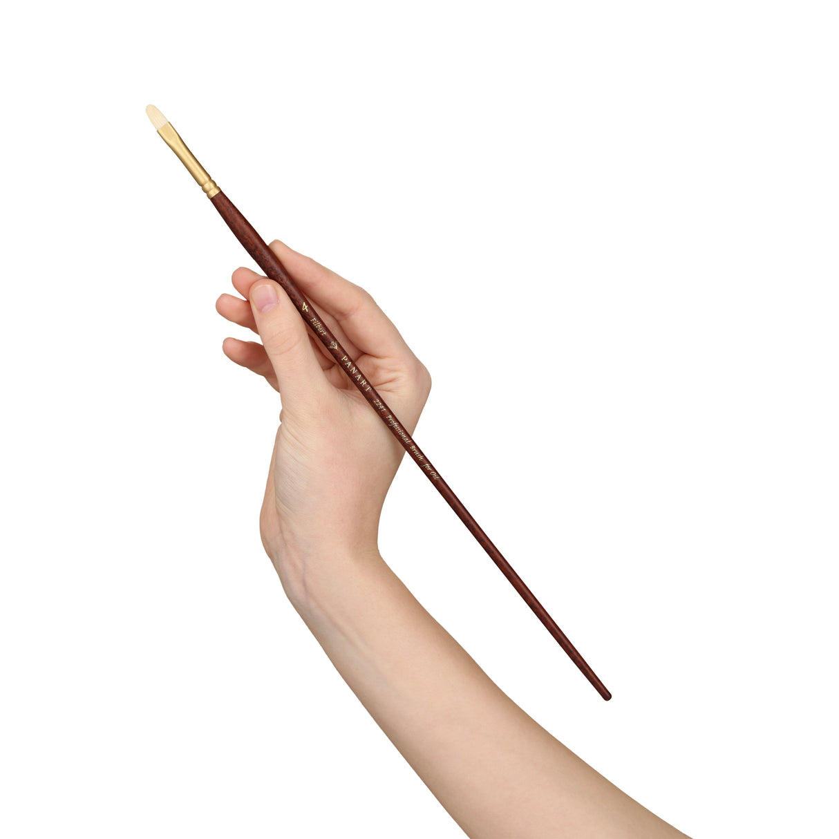 Panart Professional Bristle Filbert Long Handle Brushes - 2241