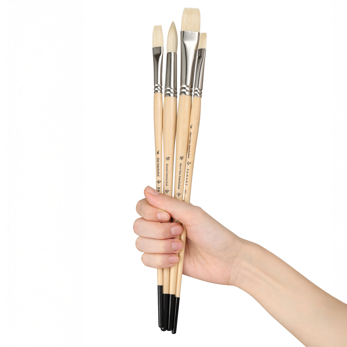 Panart White Bristle Long Handle Brush Set of 4 Pcs, ATL-10 (R-10 SF-6,10 FB-6)