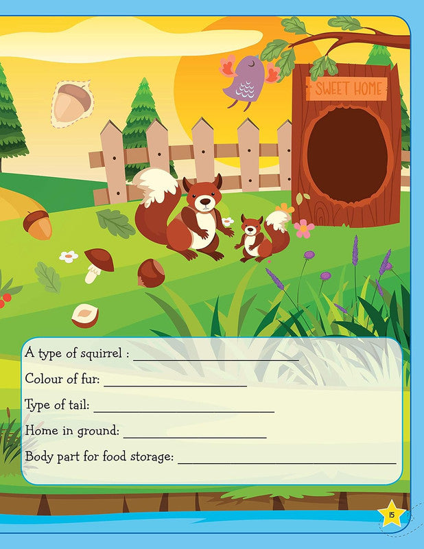 DREAMLAND - Reading Comprehension Activity Book Age 7+ with Stickers - Learn Everyday Series For Children