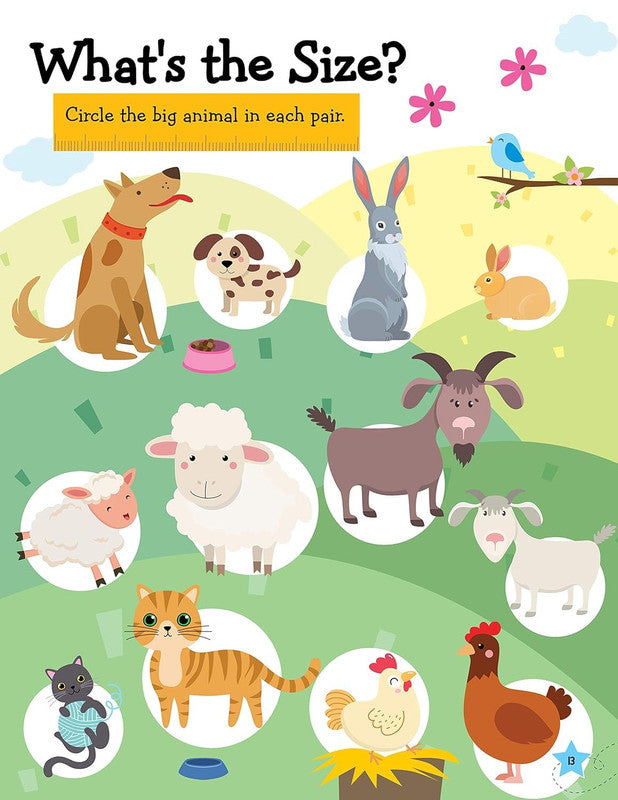DREAMLAND - Learn Everyday Basic Maths - Age 5+