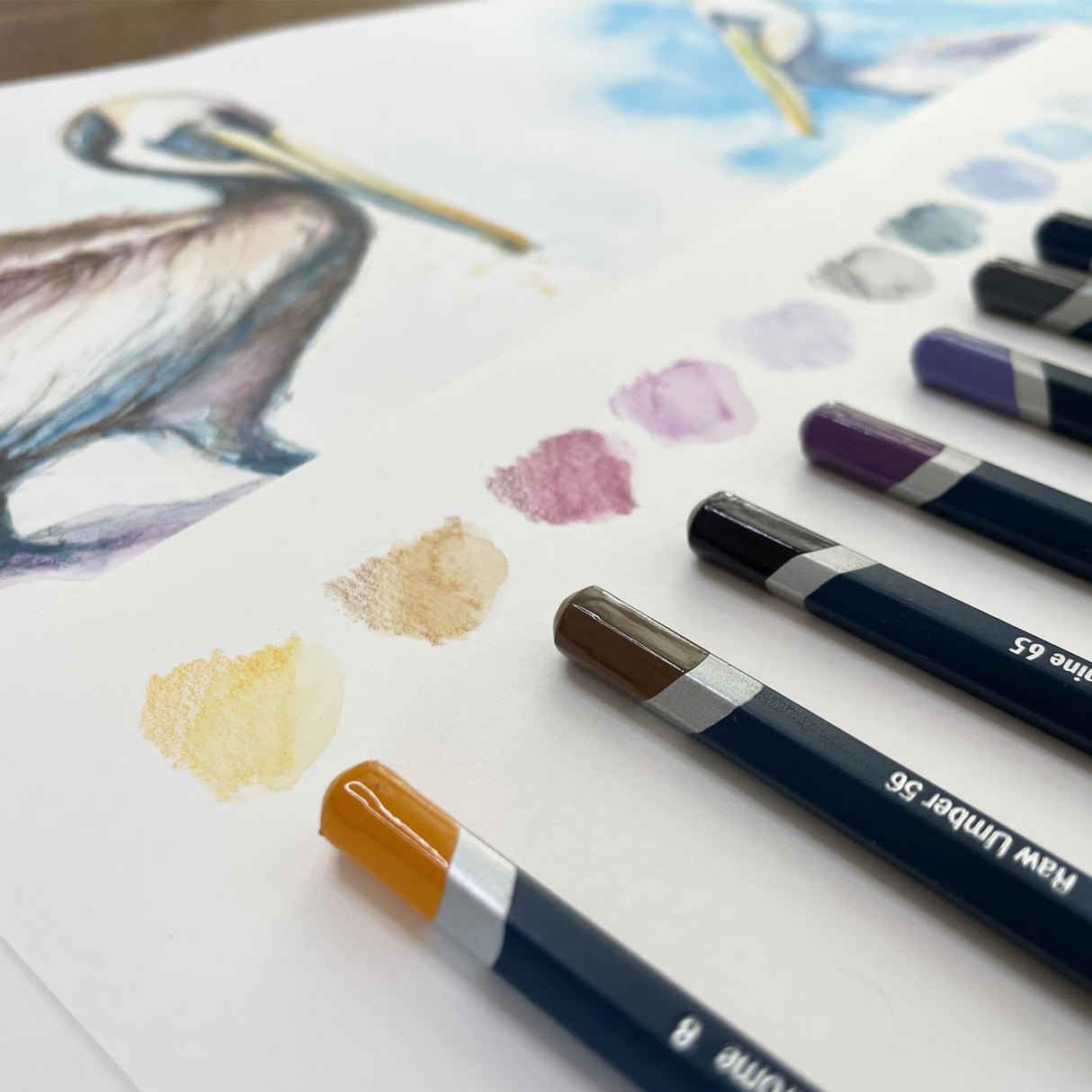 Derwent Watercolour Pencils – Premium Water-Soluble Colour Pencils for Artists