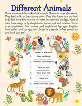 DREAMLAND - Learn Everyday Reading is Fun - Age 6+
