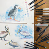 Derwent Watercolour Pencils – Premium Water-Soluble Colour Pencils for Artists