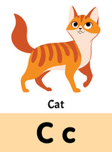 DREAMLAND Flash Cards Alphabet - 30 Double Sided Wipe clean Flash Cards