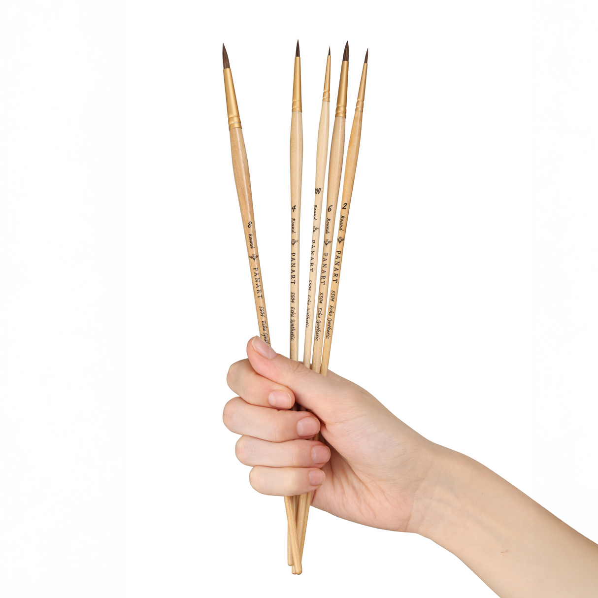 PANART ECHO SYNTHETIC LONG HANDLE BRUSH SET OF 5 PCS ES-01 (R-000,2,4,6,8)