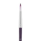 Panart Two Tone Synthetic Round Short Handle Brush Pack - 5 Pcs (6601-10)